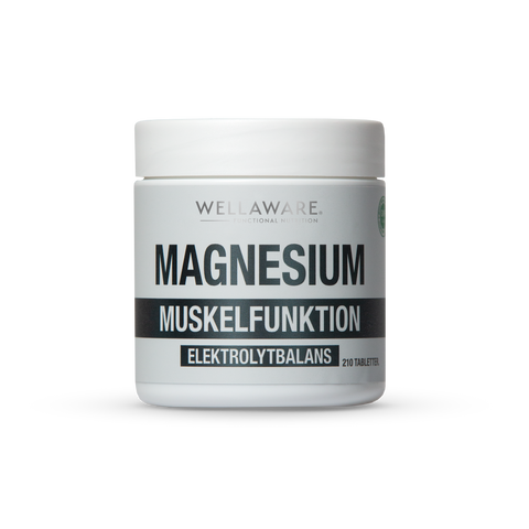 Magnesium minipiller WellAware